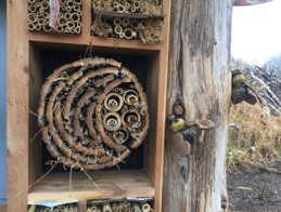 bee hotel close up 