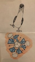 hand-drawn blue footed booby and a close up drawing of their feet