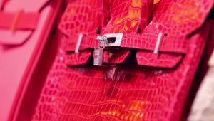 close up view of Hermes Birkin bag